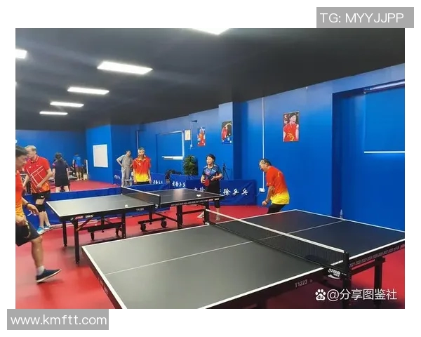 南京乒乓球队意识探讨与发展方向的深度分析与思考